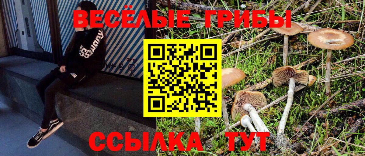 Галлюциногенные грибы MAGIC MUSHROOMS  Псилоцибиновые грибы MAGIC MUSHROOMS  Горячий Ключ  Вход с VPN 